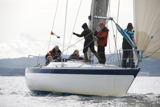 prime cut gbr3709 whw12 tues gjmc 6955
